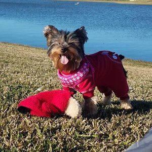 Meet your Posher, Lorie-n